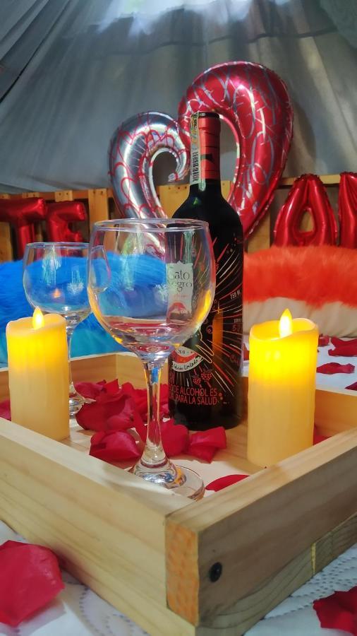 Bambu Glamping Ecolodge 麦德林 外观 照片