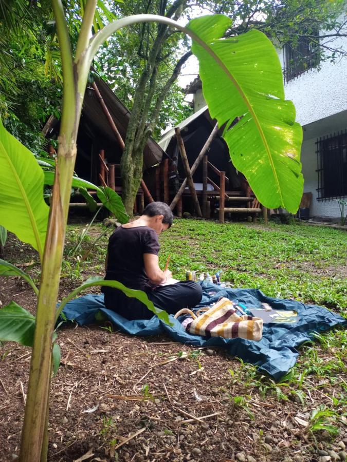 Bambu Glamping Ecolodge 麦德林 外观 照片