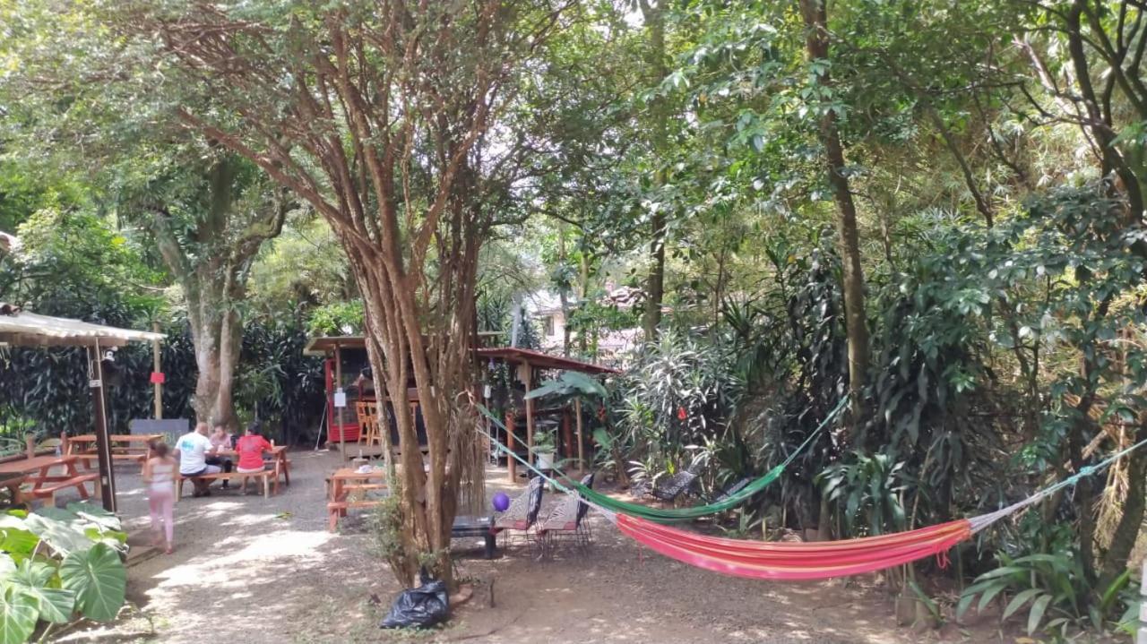 Bambu Glamping Ecolodge 麦德林 外观 照片