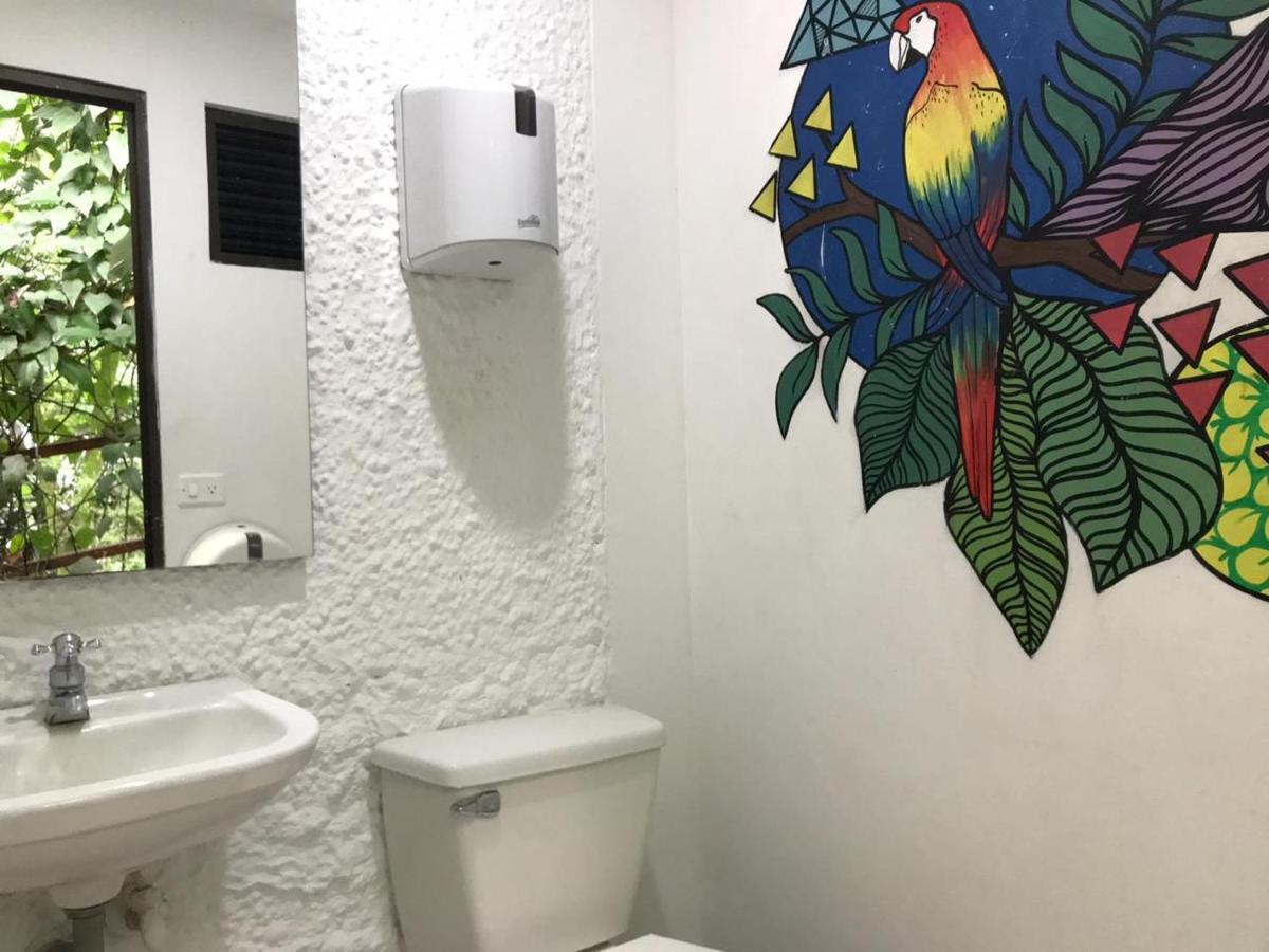 Bambu Glamping Ecolodge 麦德林 外观 照片