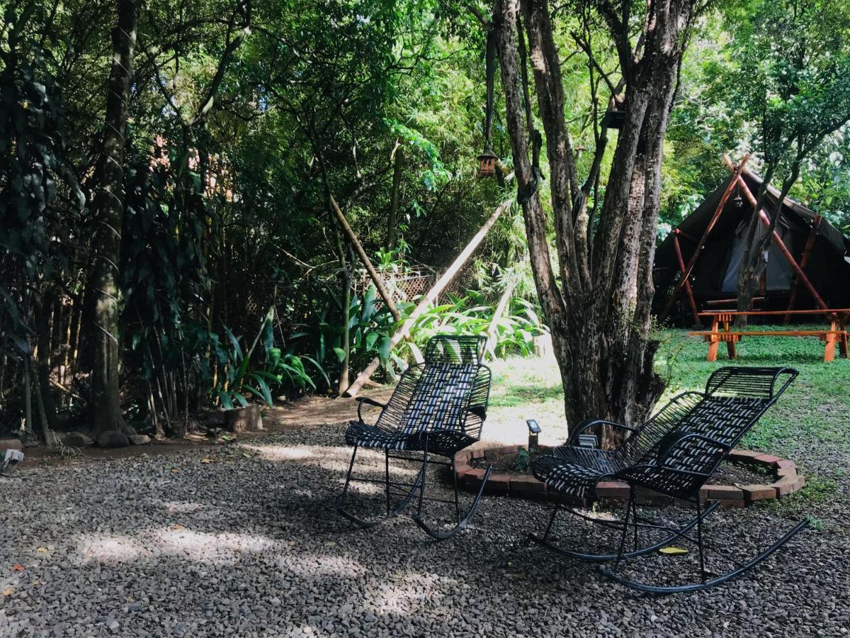 Bambu Glamping Ecolodge 麦德林 外观 照片