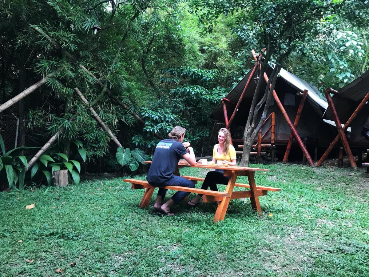 Bambu Glamping Ecolodge 麦德林 外观 照片