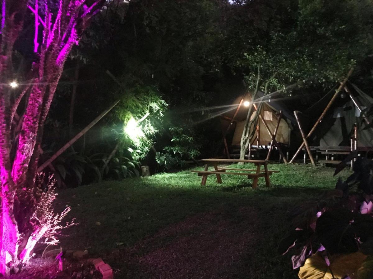 Bambu Glamping Ecolodge 麦德林 外观 照片