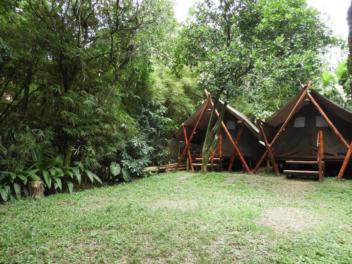 Bambu Glamping Ecolodge 麦德林 外观 照片